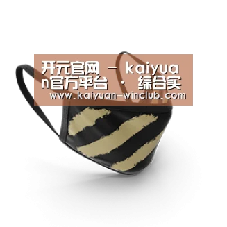 成人布口罩